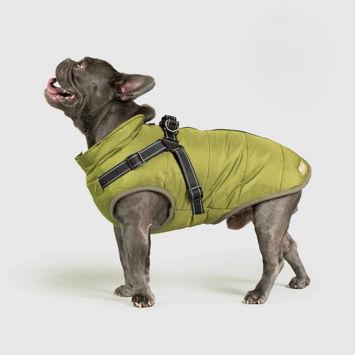 Paws&Co™ 3 in 1 Jacket