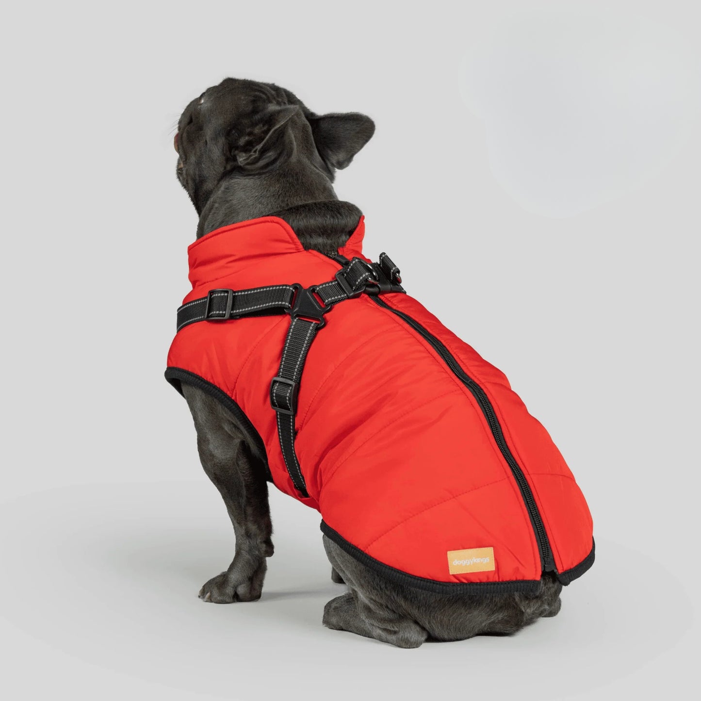 Paws&Co™ 3 in 1 Jacket