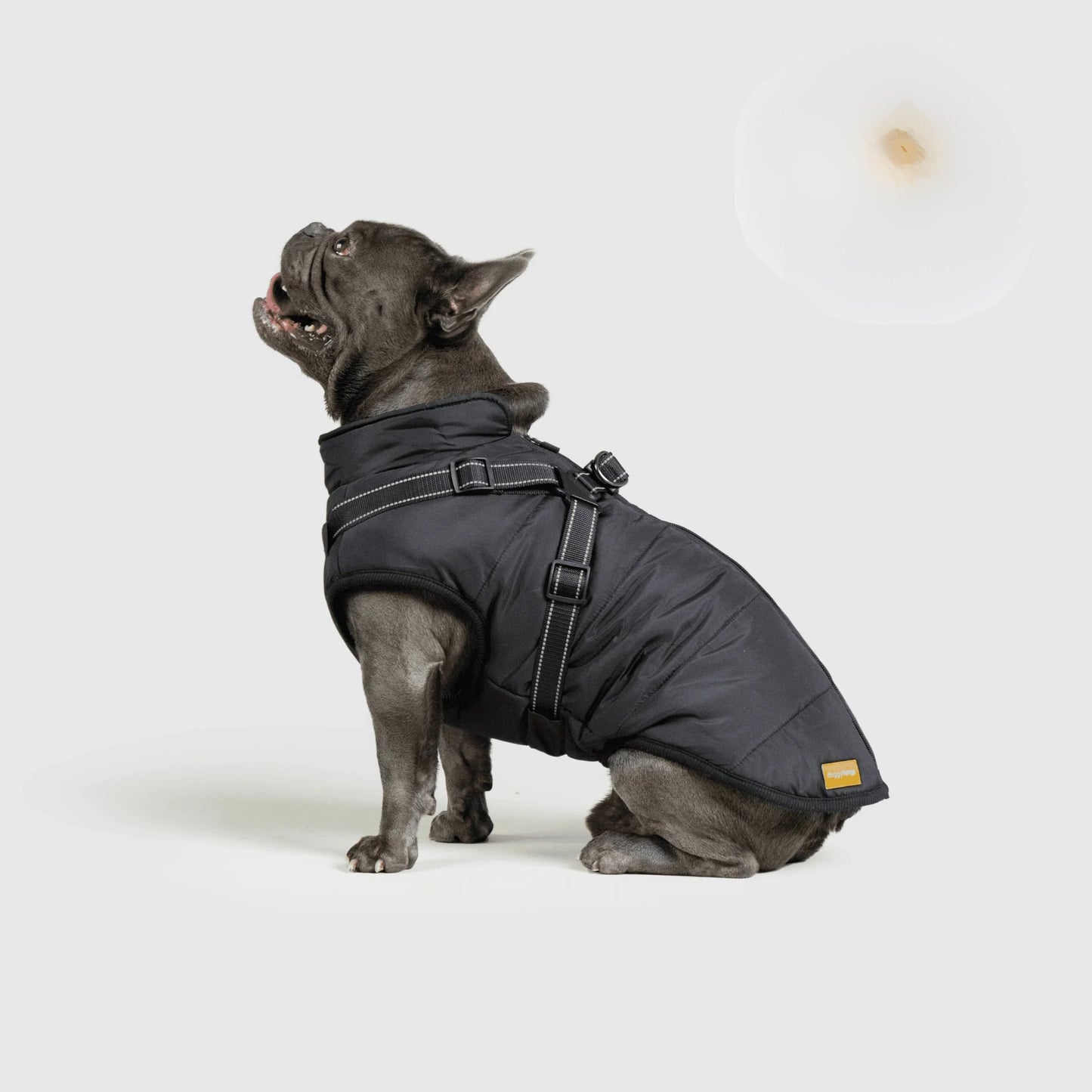 Paws&Co™ 3 in 1 Jacket