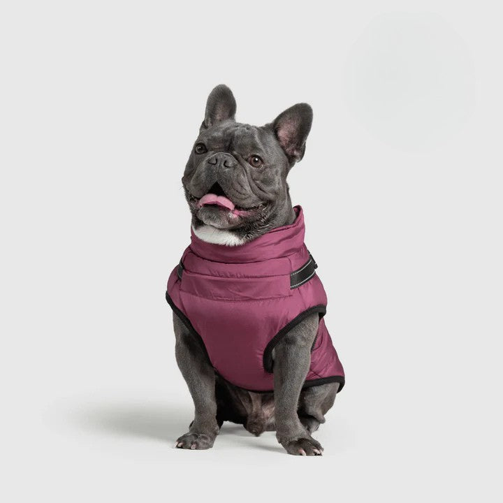 Paws&Co™ 3 in 1 Jacket