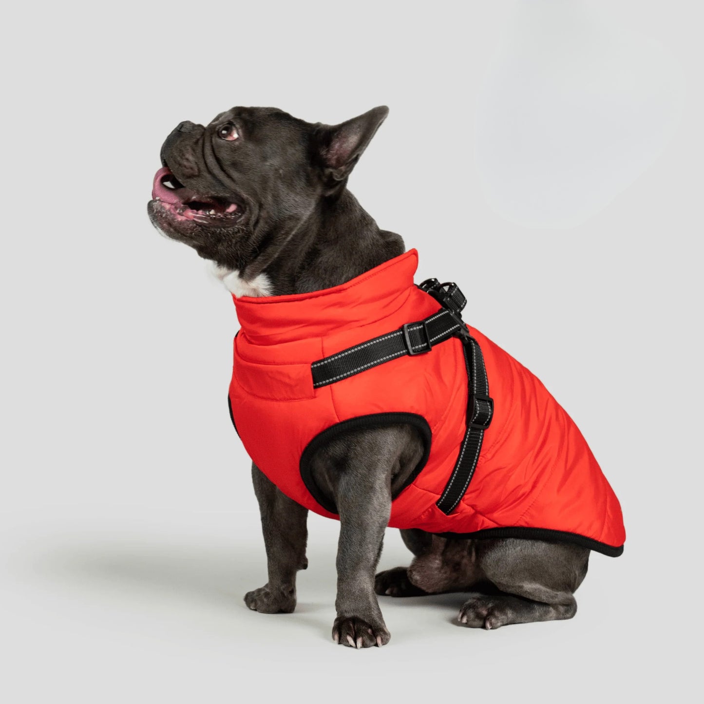 Paws&Co™ 3 in 1 Jacket