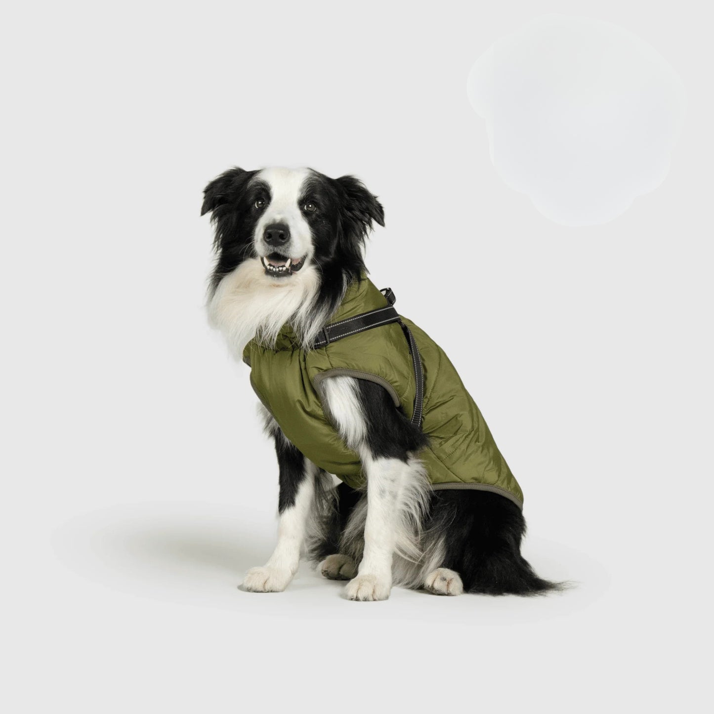 Paws&Co™ 3 in 1 Jacket