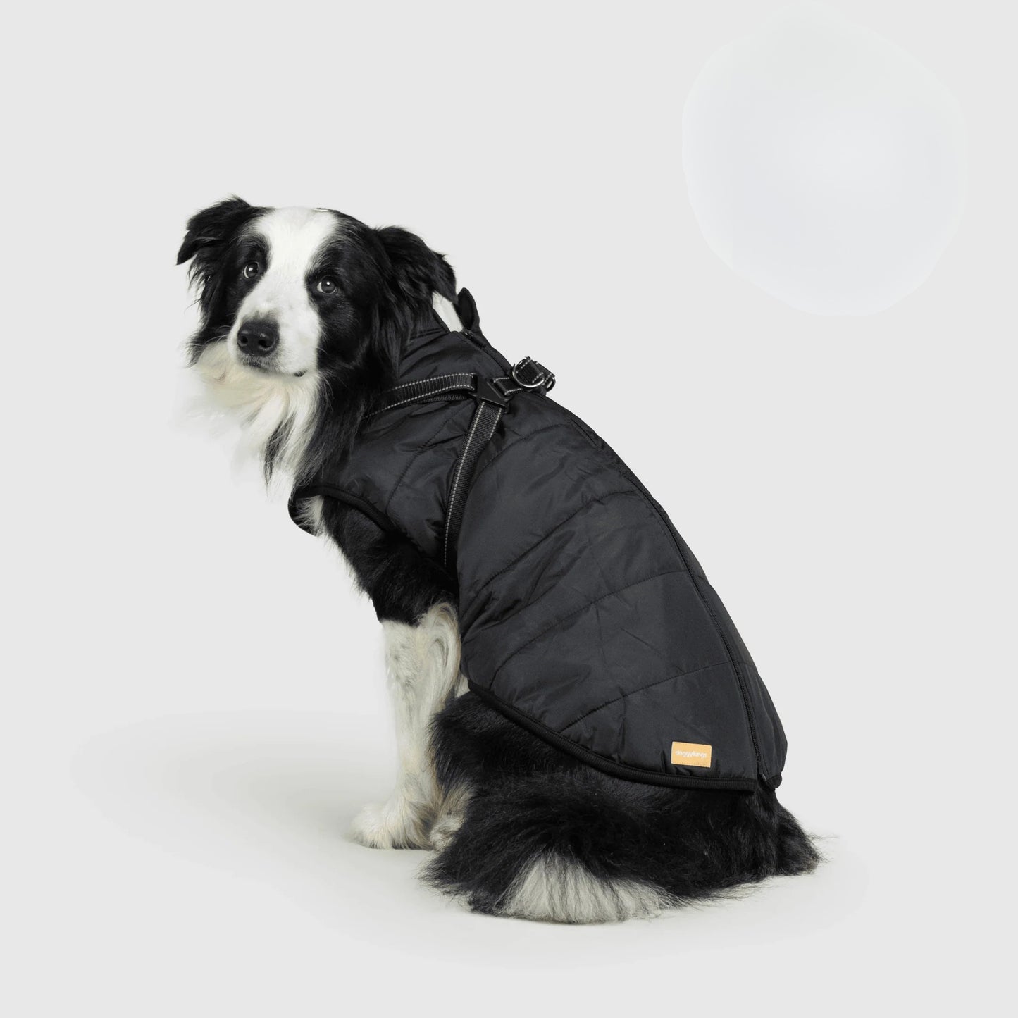 Paws&Co™ 3 in 1 Jacket