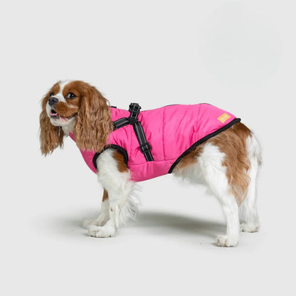 Paws&Co™ 3 in 1 Jacket