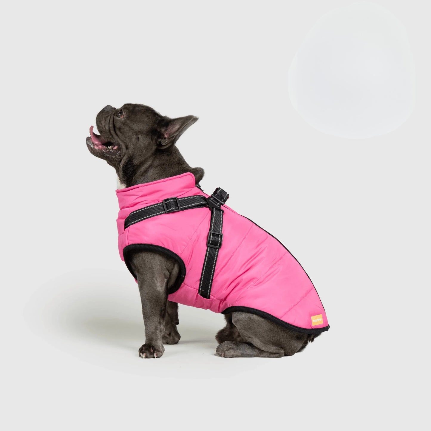 Paws&Co™ 3 in 1 Jacket