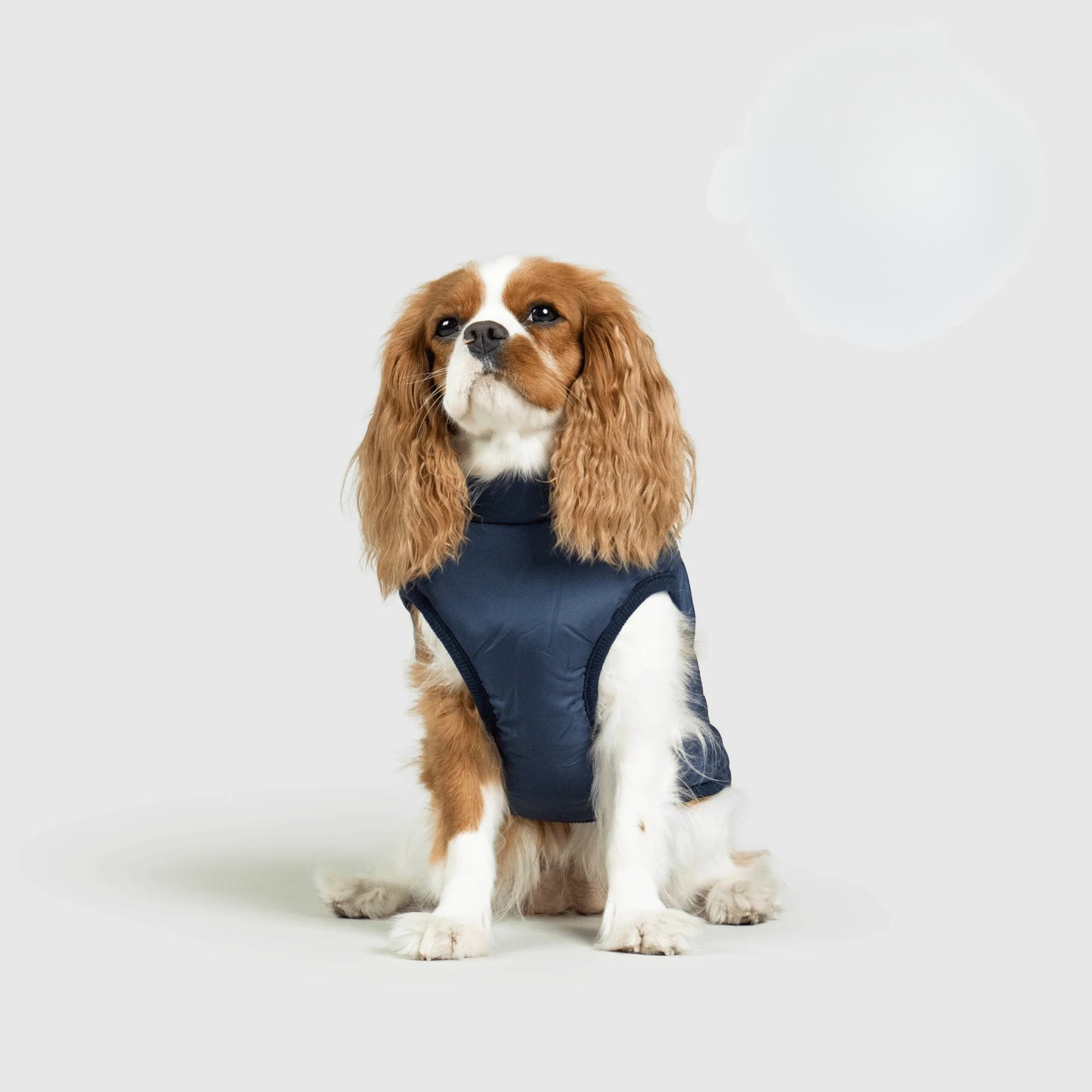 Paws&Co™ 3 in 1 Jacket