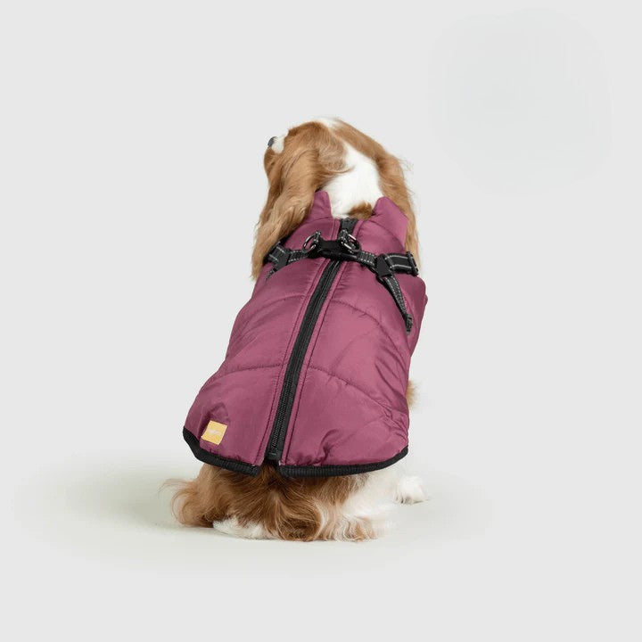 Paws&Co™ 3 in 1 Jacket