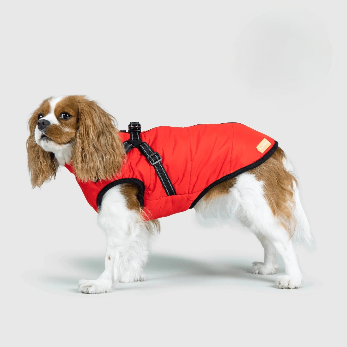Paws&Co™ 3 in 1 Jacket