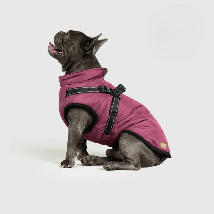 Paws&Co™ 3 in 1 Jacket