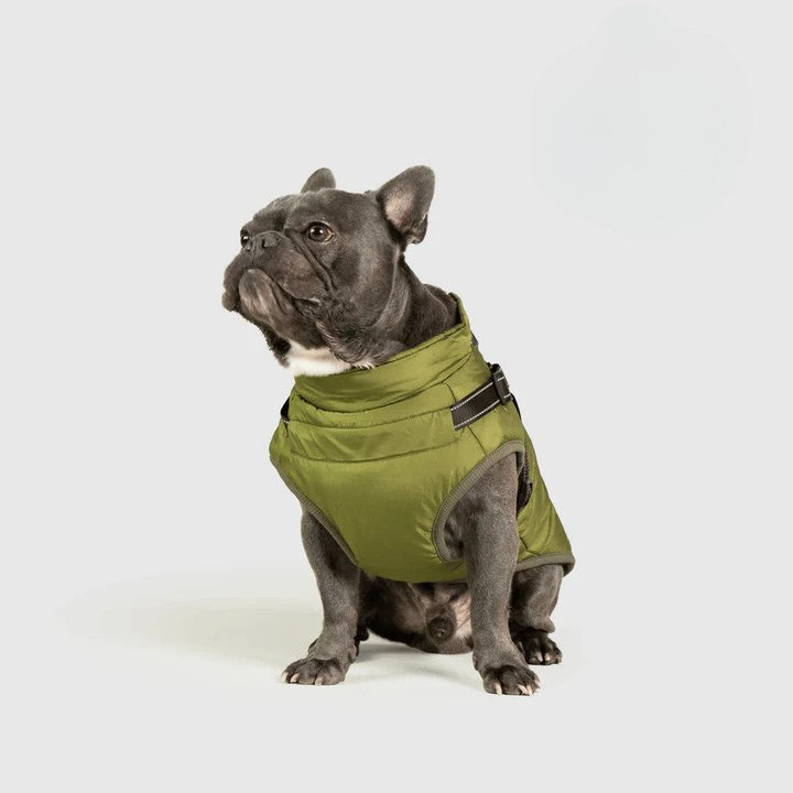 Paws&Co™ 3 in 1 Jacket