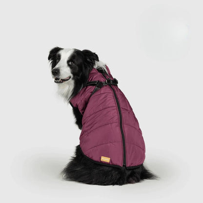 Paws&Co™ 3 in 1 Jacket