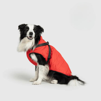 Paws&Co™ 3 in 1 Jacket