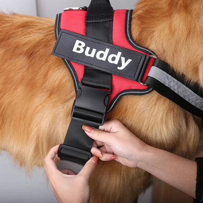DoggyKings™ Ultimate Personalized No Pull Dog Harness