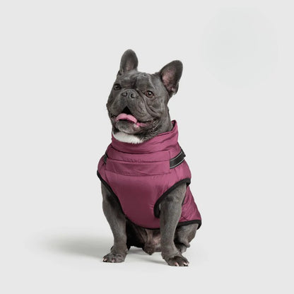 Paws&Co™ 3 in 1 Jacket
