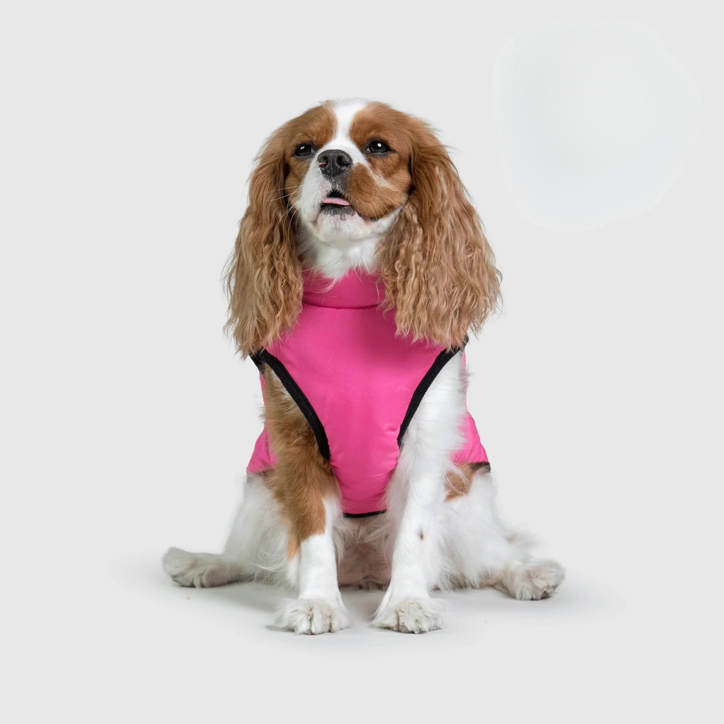 Paws&Co™ 3 in 1 Jacket