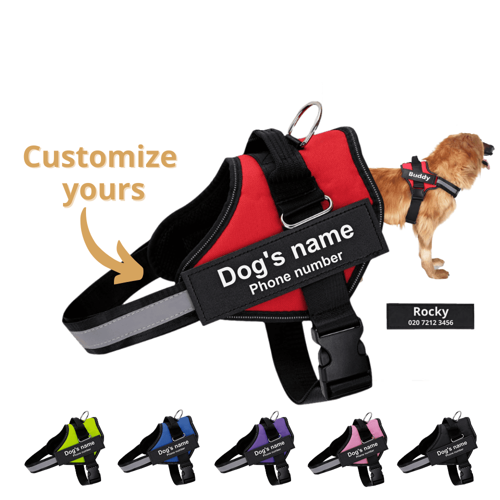DoggyKings™ Ultimate Personalized No Pull Dog Harness