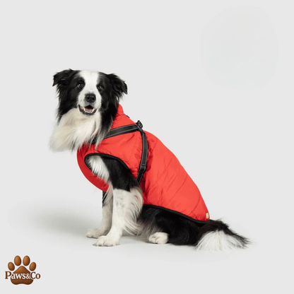 Paws&Co™ 3 in 1 Waterproof Jacket