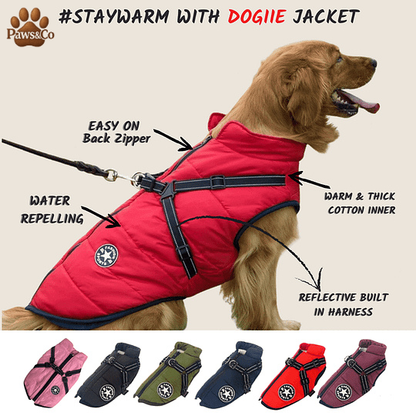Paws&Co™ 3 in 1 Waterproof Jacket