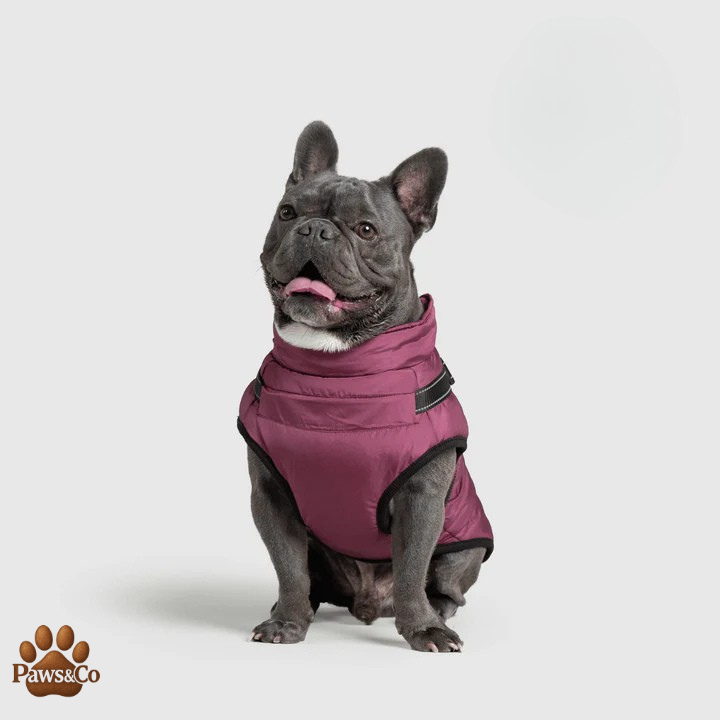 Paws&Co™ 3 in 1 Waterproof Jacket