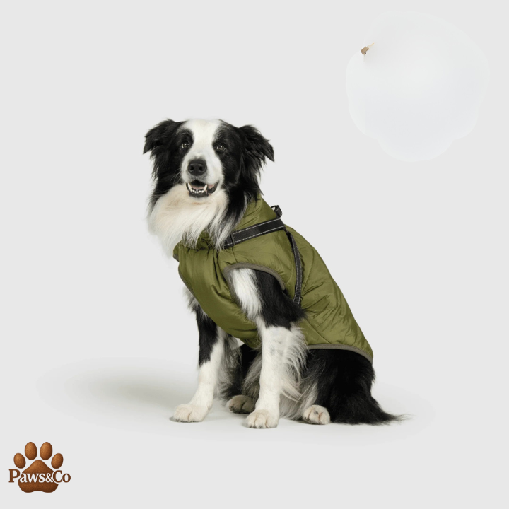 Paws&Co™ 3 in 1 Waterproof Jacket