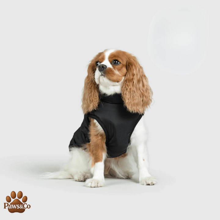 Paws&Co™ 3 in 1 Waterproof Jacket