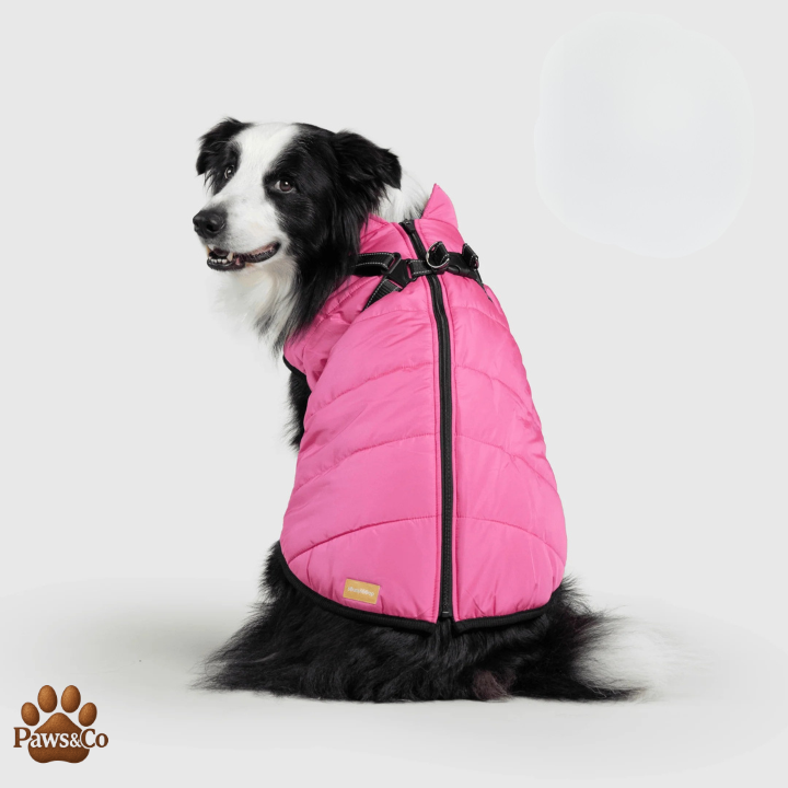 Paws&Co™ 3 in 1 Waterproof Jacket