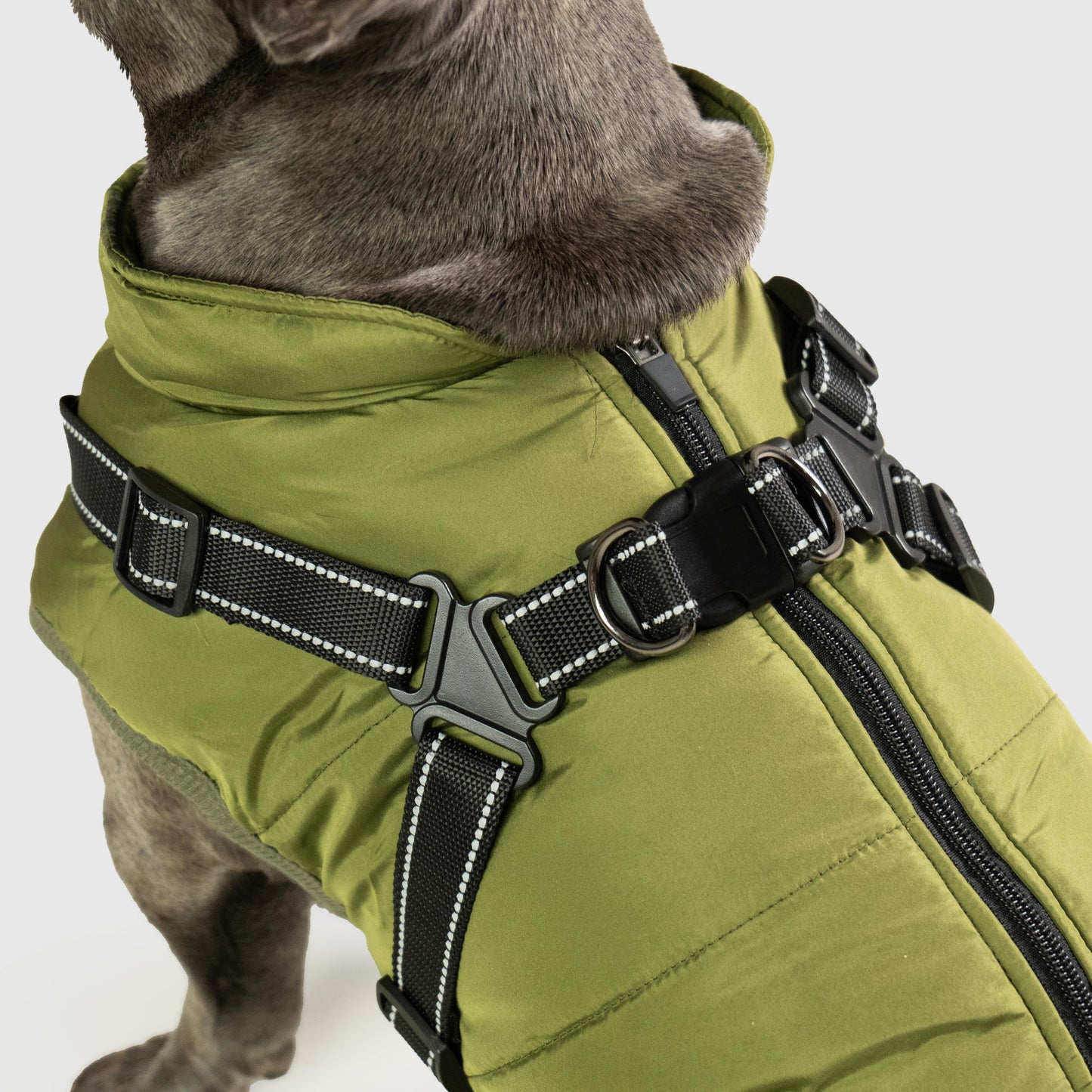 Paws&Co™ 3 in 1 Waterproof Jacket