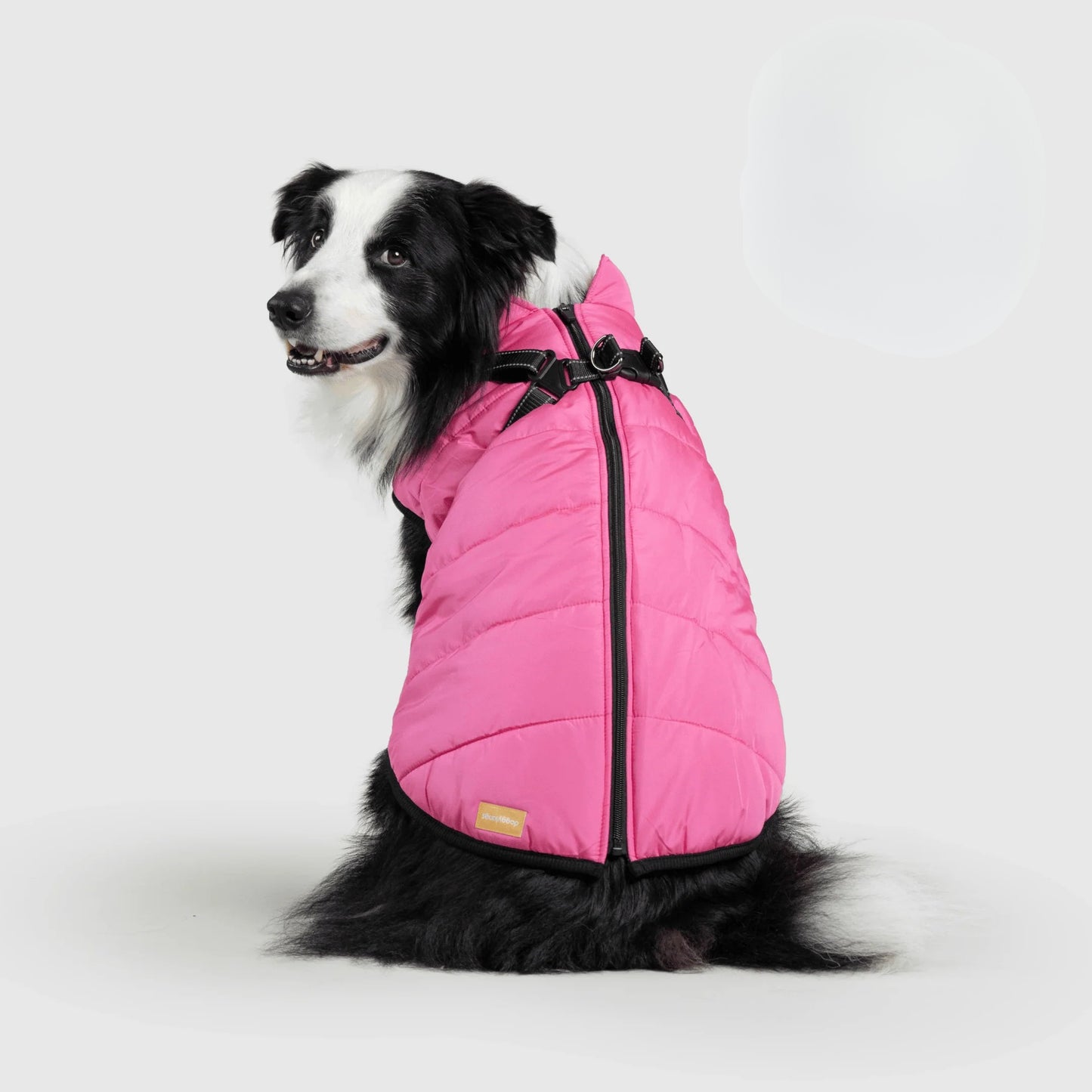 Paws&Co™ 3 in 1 Jacket