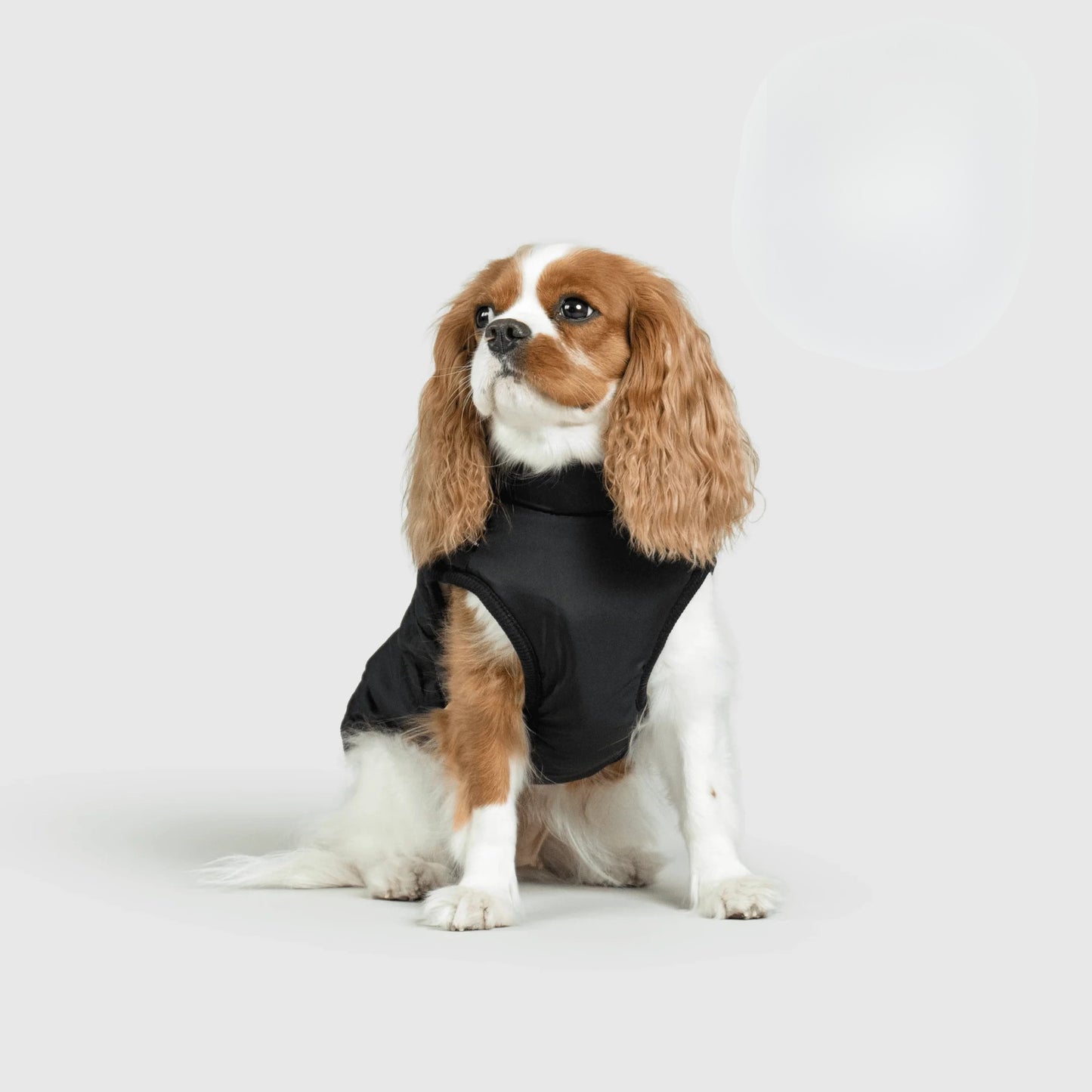 Paws&Co™ 3 in 1 Jacket