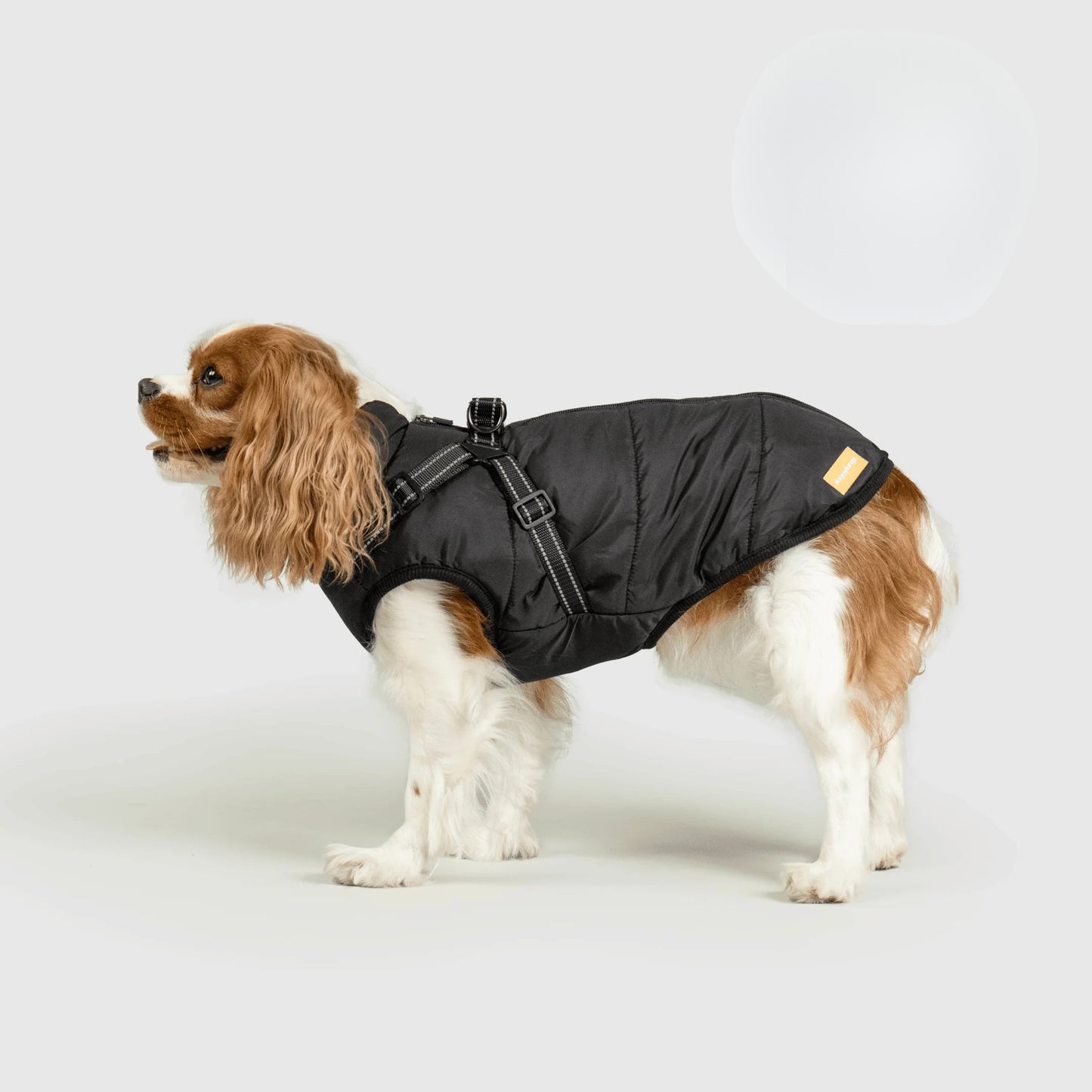 Paws&Co™ 3 in 1 Jacket