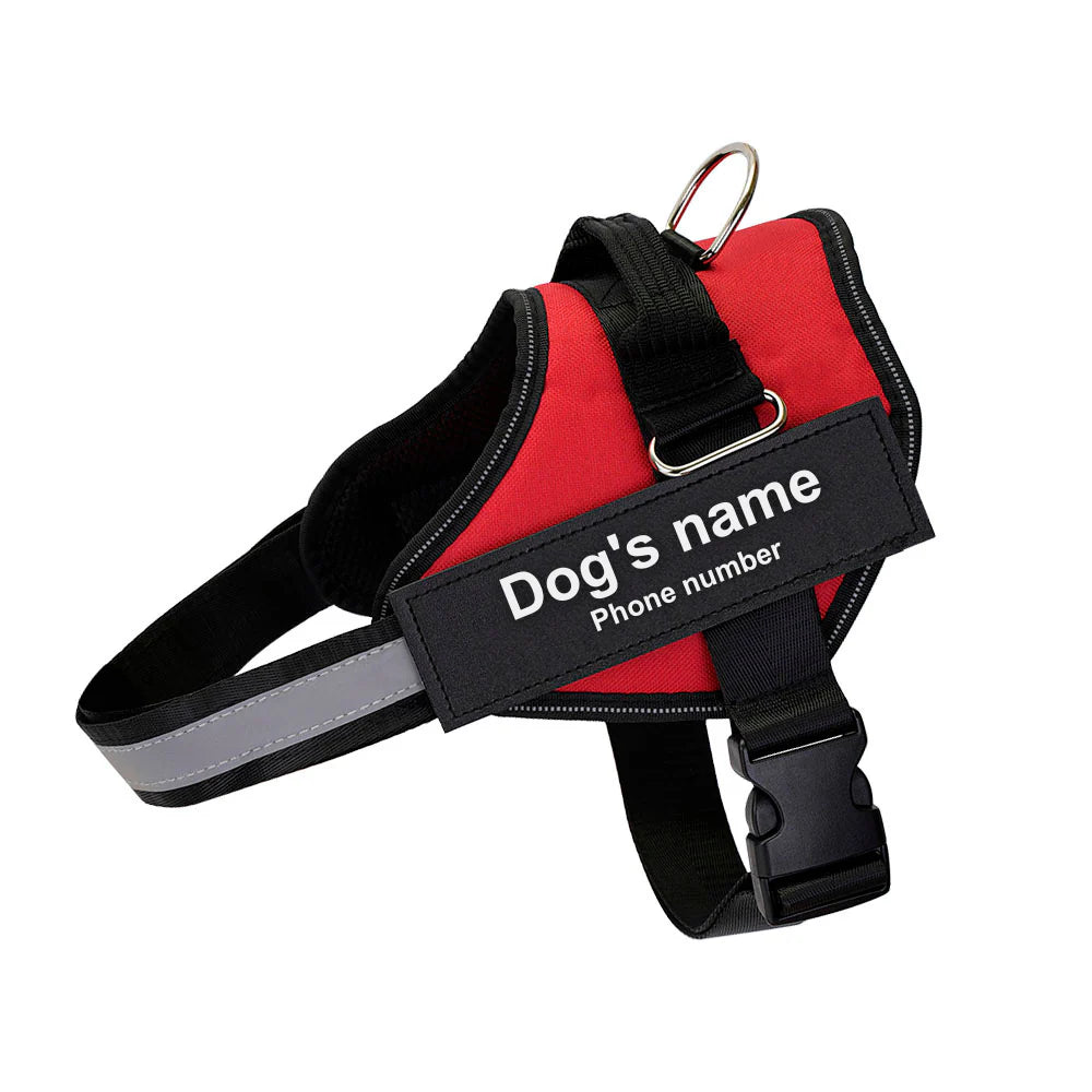 Paws&Co™ No Pull Dog Harness 1